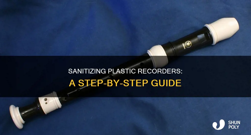 how do you sanitize plastic recorders