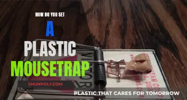 Setting a Plastic Mousetrap: A Step-by-Step Guide