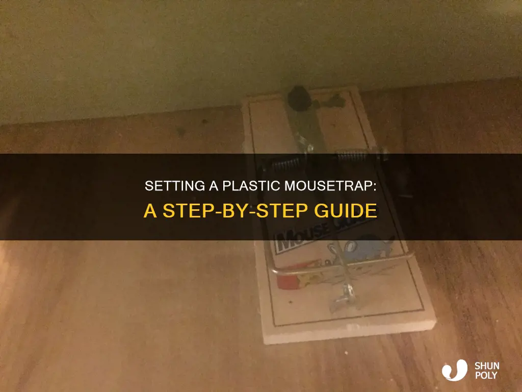 how do you set a plastic mousetrap