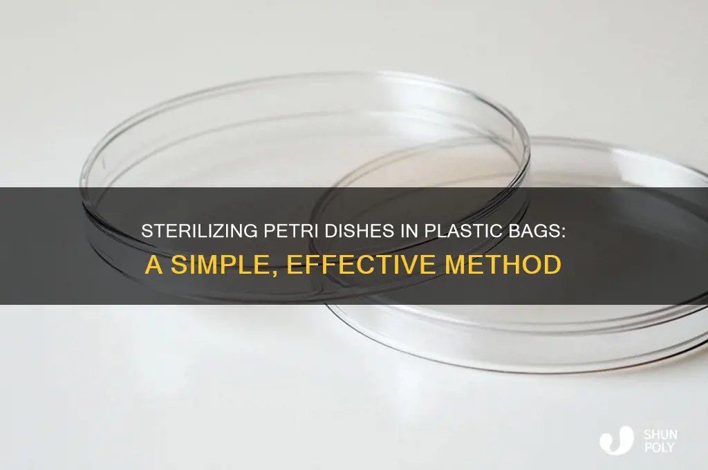 how do you sterilize petri dishes in plastic bag