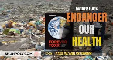 Plastic Pollution: A Health Crisis