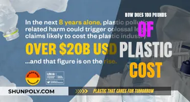 Plastic's Cost: 100 Pounds, Priceless Impact