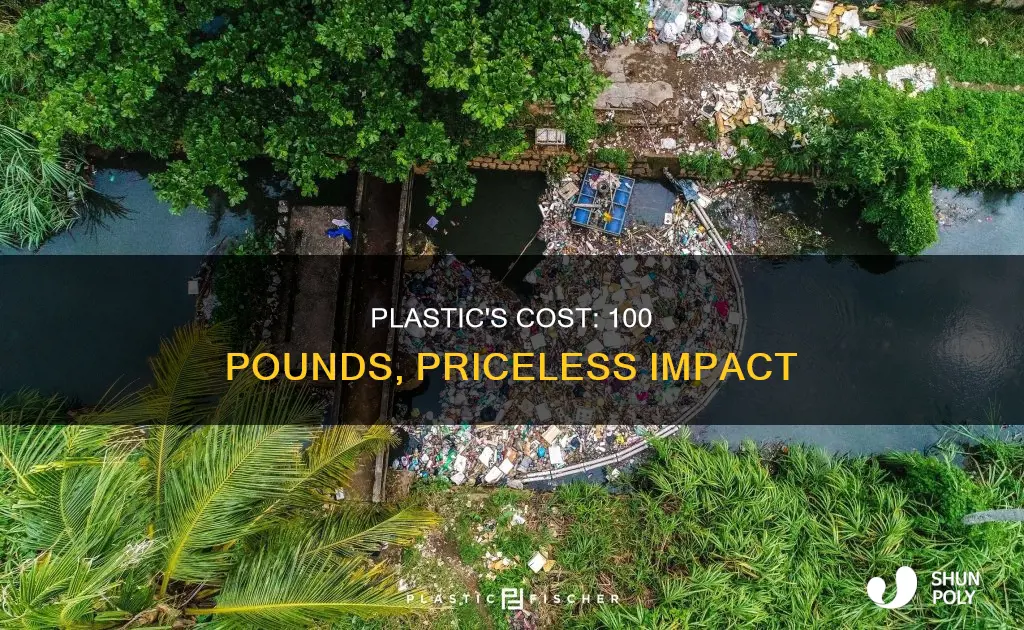 how does 100 pounds of plastic cost