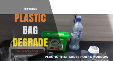 Understanding the Slow Breakdown of Plastic Bags in Our Environment