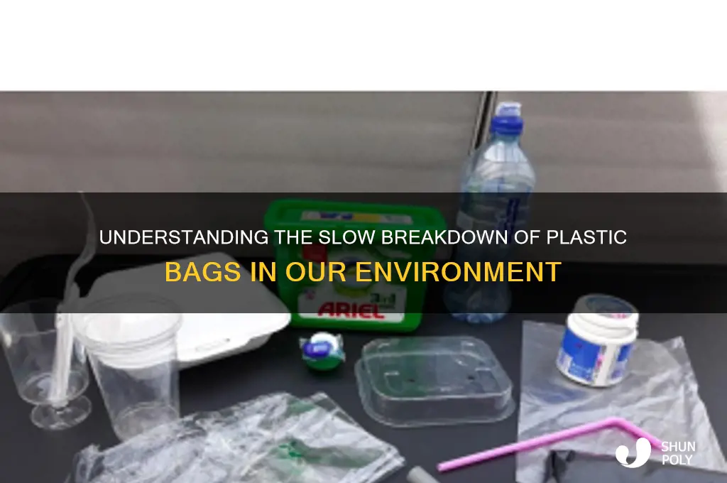how does a plastic bag degrade