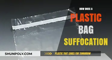 The Silent Danger: Understanding Plastic Bag Suffocation Risks and Prevention