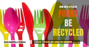 Unveiling the Journey: From Plastic Fork to New Life