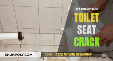 Toilet Trauma: Why Plastic Seats Crack