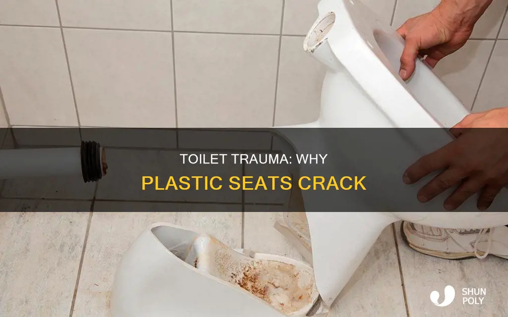 how does a plastic toilet seat crack