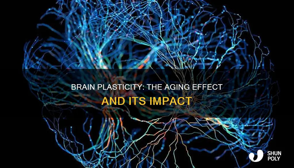 how does age affect brain plasticity