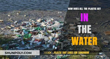 How Plastic Enters Our Waterways: Sources, Pathways, and Solutions