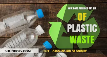 Tackling America's Plastic Crisis: Innovative Solutions for a Waste-Free Future