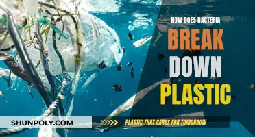 Bacteria's Plastic-Eating Superpowers: Nature's Solution