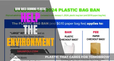 Plastic Bans: Saving Our Planet, One Step at a Time