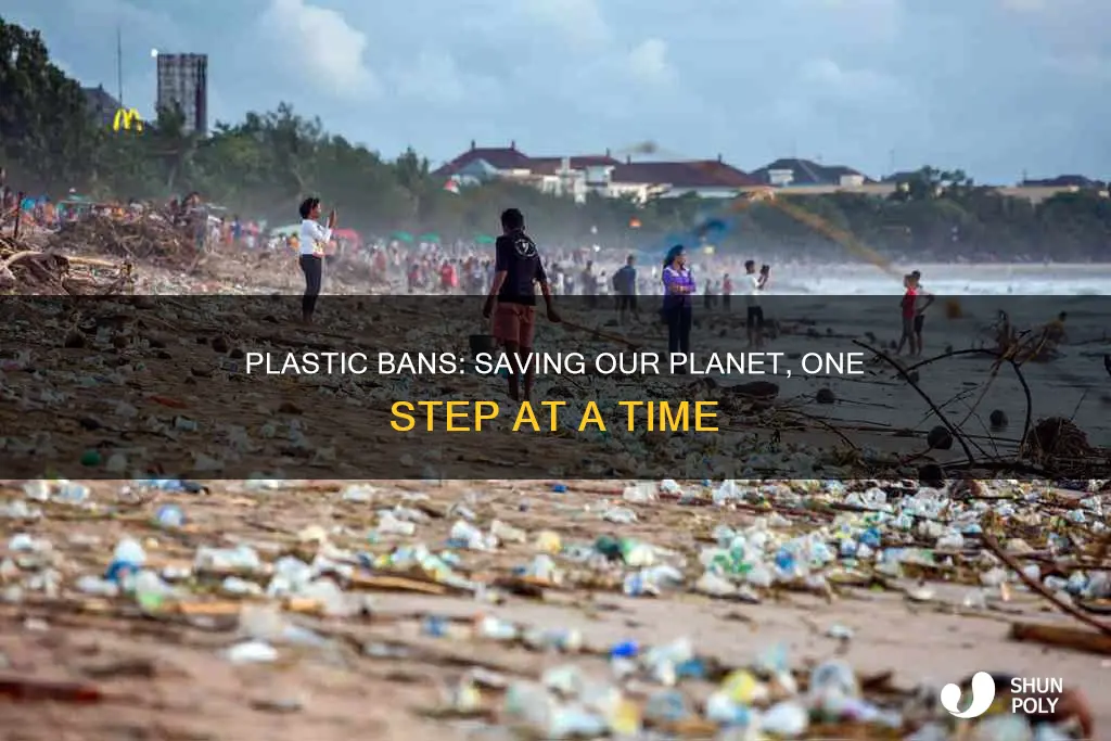 how does banning plastic help the environment