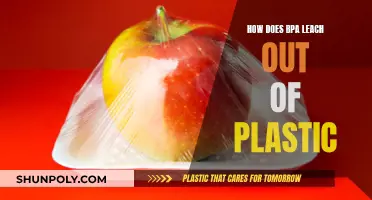 BPA Exposure: Leaching Toxins from Plastic