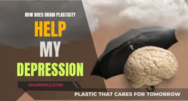 Brain Plasticity: Rewiring Depression