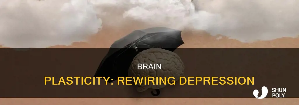 how does brain plasticity help my depression