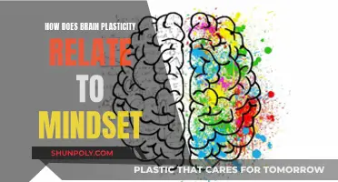 Mindset and Brain Plasticity: A Powerful Duo