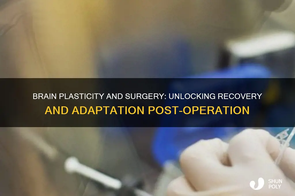 how does brain plasticity relate to surgery