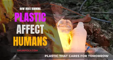 The Dark Side of Burning Plastics: Human Health Impact