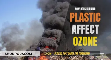 The Impact of Burning Plastics on Our Ozone Layer