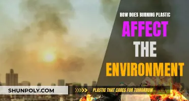 Plastic Burning: Devastating Impact on Our Environment