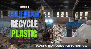 California's Plastic Recycling Revolution: A Green Transformation