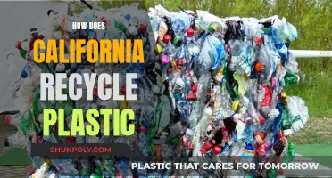 California's Plastic Recycling: Process and Innovations
