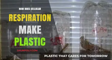 Cellular Respiration's Role in Sustainable Plastic Production Explained