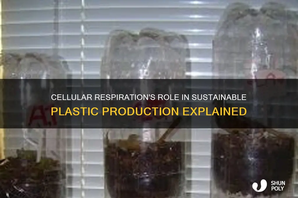 how does cellular respiration make plastic