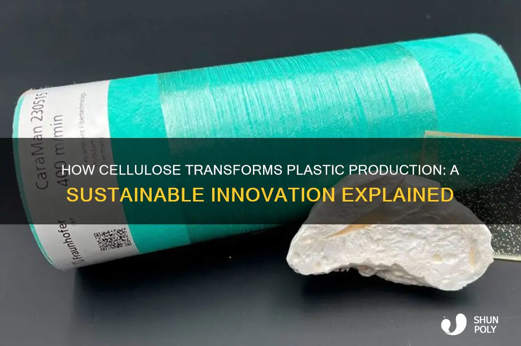 how does celulose make plastic