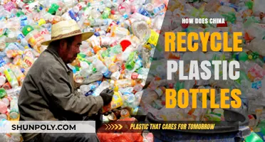 China's Plastic Bottle Recycling: Processes, Innovations, and Environmental Impact