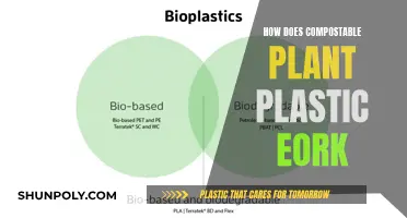 The Green Evolution: Compostable Plant Plastic Explained