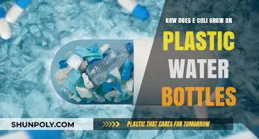 E. Coli Growth on Plastic Water Bottles: Causes and Prevention