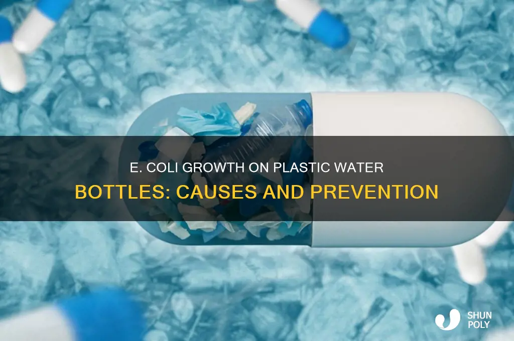 how does e coli grow on plastic water bottles