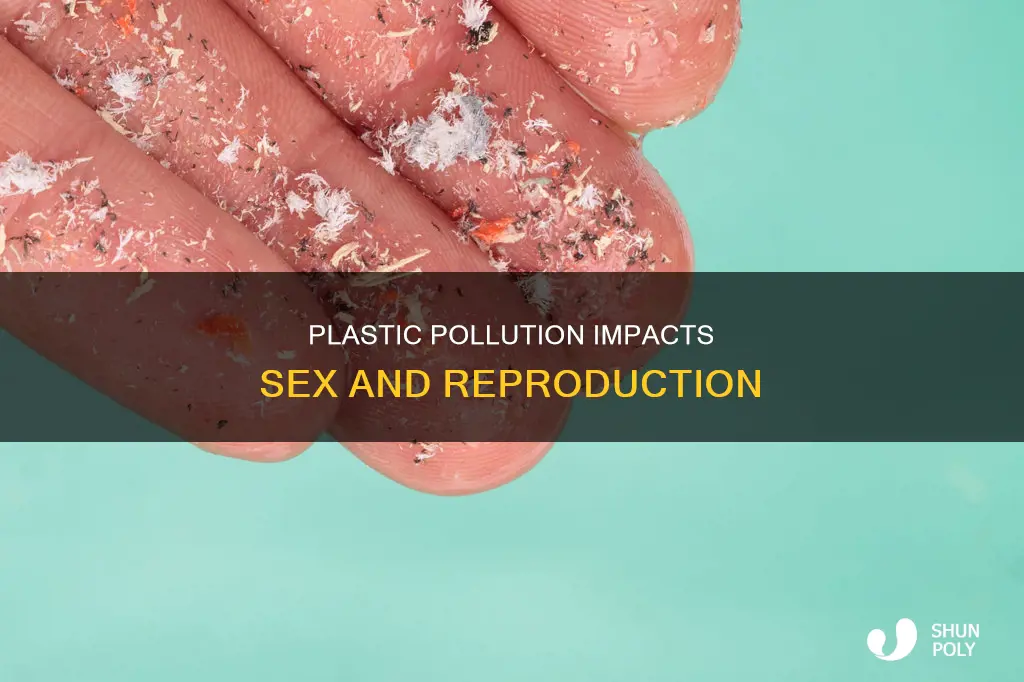 how does environmental plastic affect sex