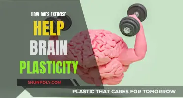 Exercise Enhances Brain Plasticity: Here's How