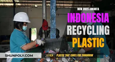 Jakarta's Plastic Recycling Revolution: A Green Transformation