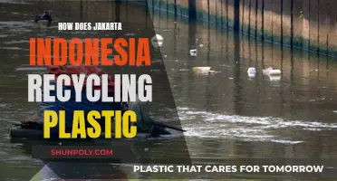 Jakarta's Plastic Revolution: Recycling for a Greener Indonesia