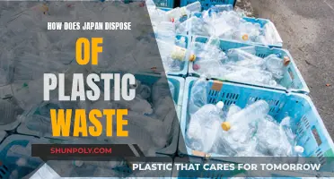 Japan's Plastic Waste Disposal: An Innovative Approach