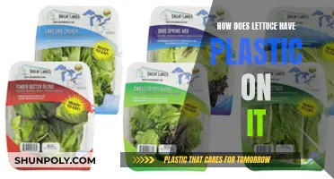 Lettuce and Plastic: An Unlikely Duo