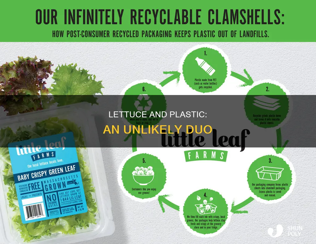 how does lettuce have plastic on it