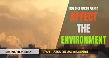 The Dark Side of Plastic: Environmental Impact