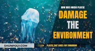 Microplastics: A Growing Environmental Hazard