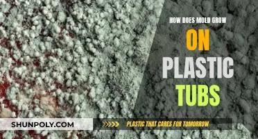 Mold Growth on Plastic Tubs: Causes and Prevention