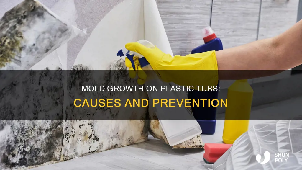 how does mold grow on plastic tubs