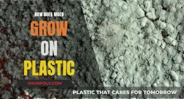 Mold Growth on Plastic: Causes and Prevention
