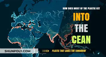Unseen Pathways: How Everyday Plastic Ends Up in Our Oceans