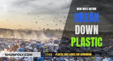 Nature's Plastic Breakdown: The Process Revealed